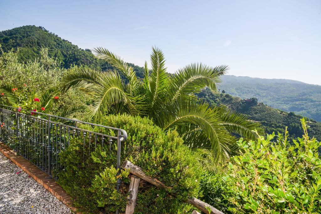 Agriturismo La Marginella Villa Pescia Dış mekan fotoğraf